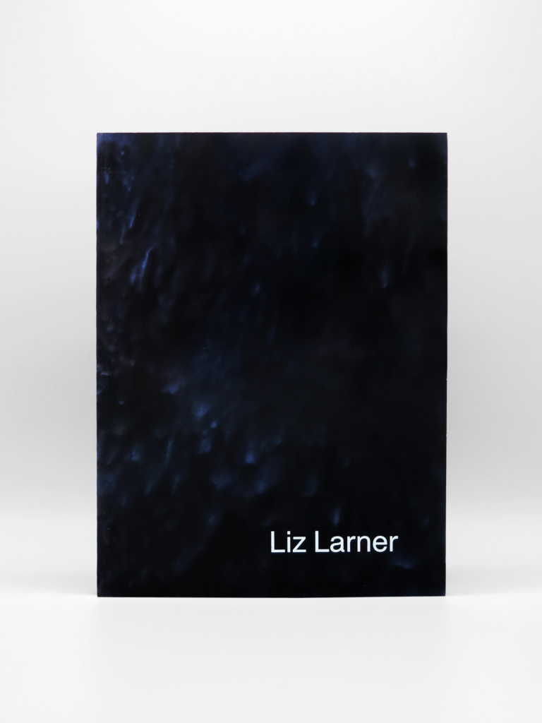 Liz Larner, Liz Larner