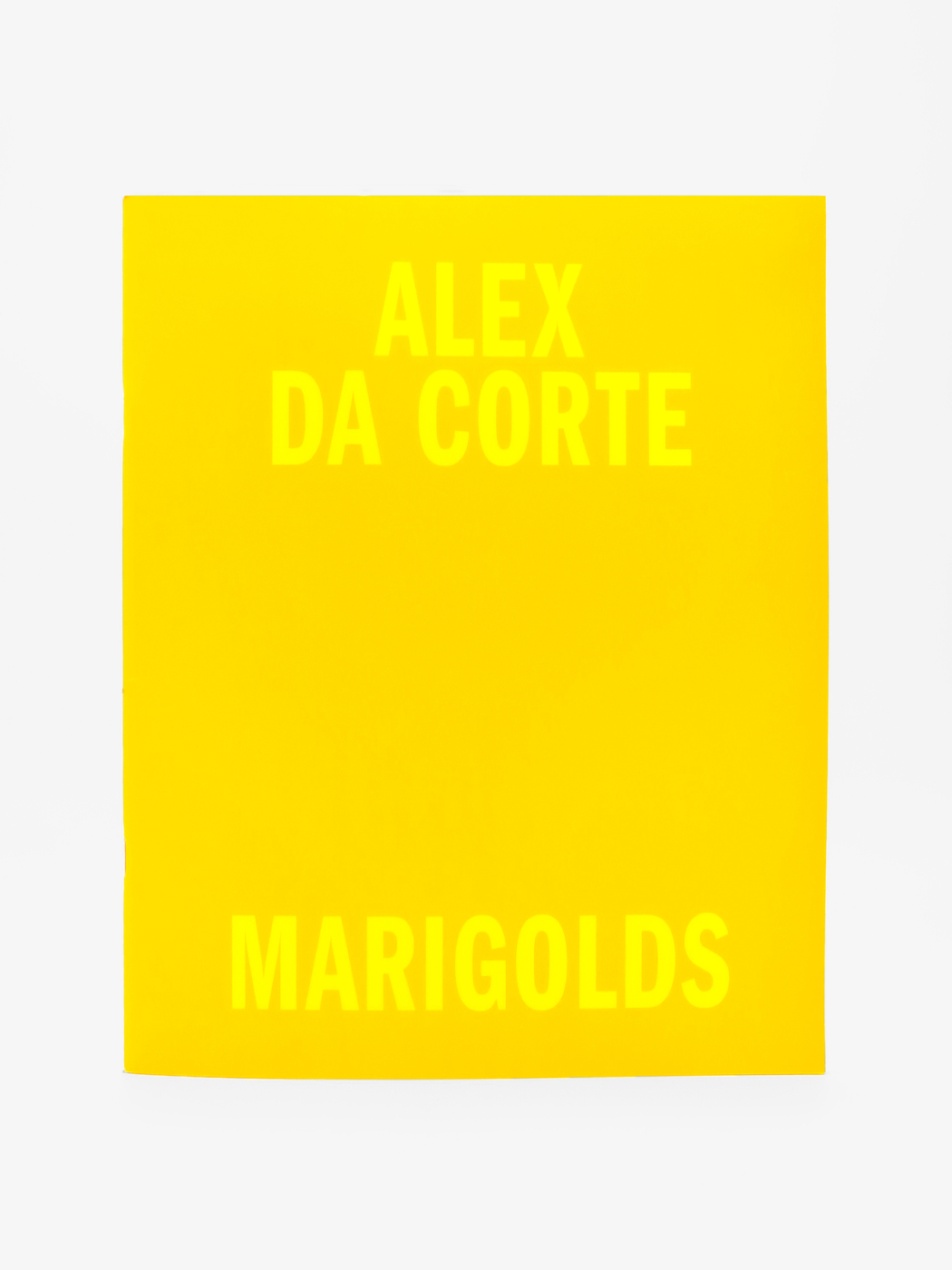 Alex Da Corte, Marigolds