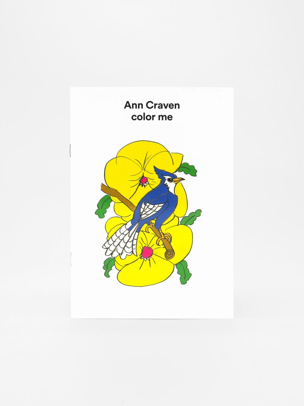 Ann Craven, color me