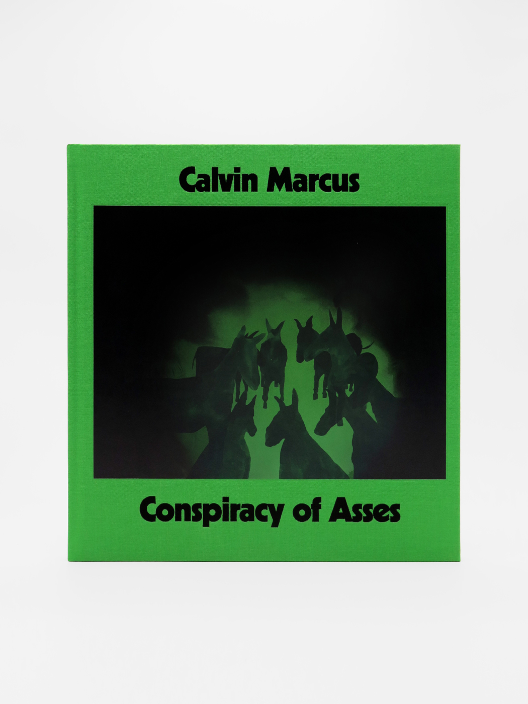 Calvin Marcus, Conspiracy of Asses