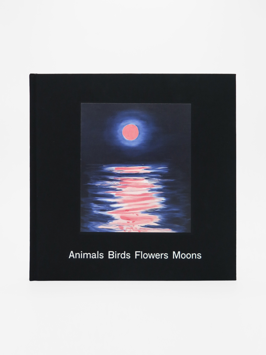 Ann Craven, Animals Birds Flowers Moons
