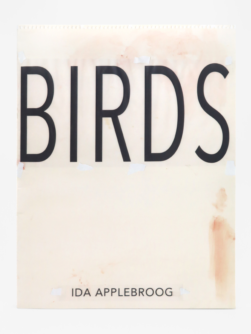 Ida Applebroog, Birds