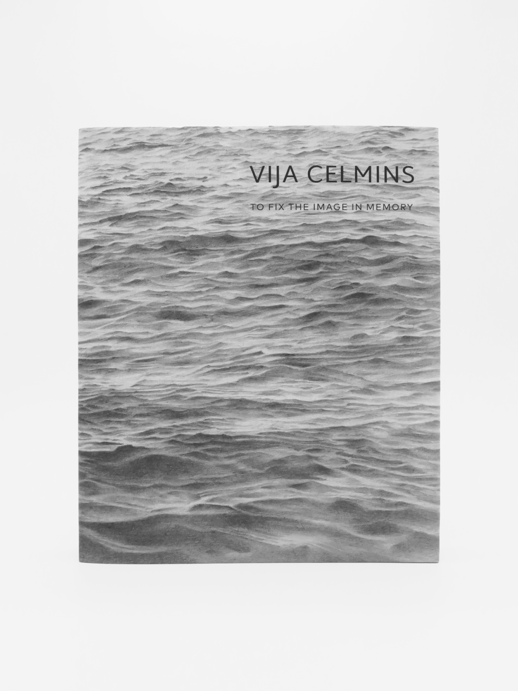 Vija Celmins, To Fix the Image in Memory