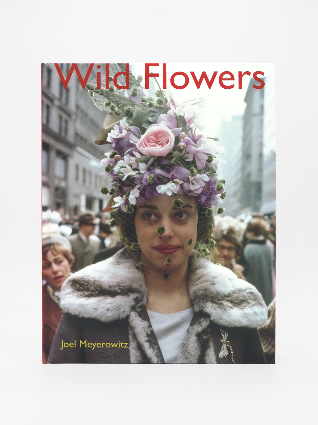 Joel Meyerowitz, Wild Flowers