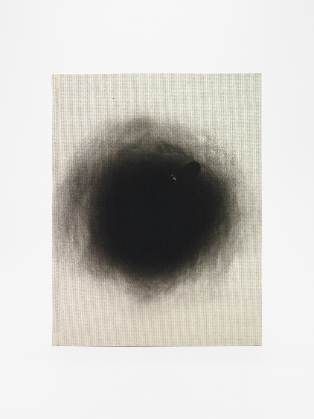 Kenneth Noland, Steven Parrino, Homage to the Circle