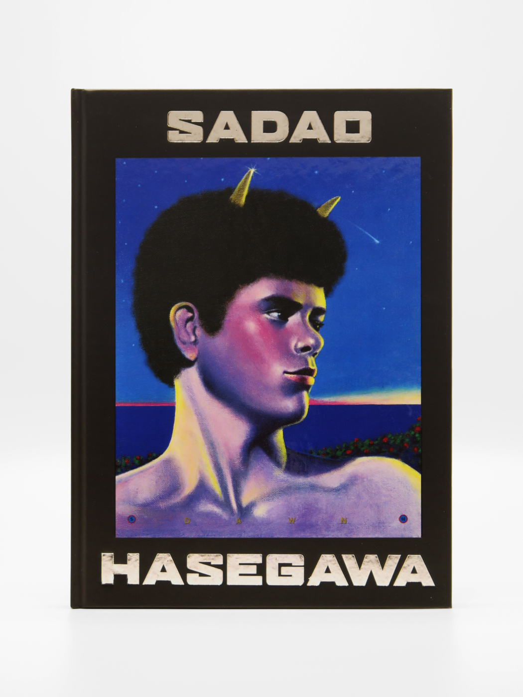 Sadao Hasegawa