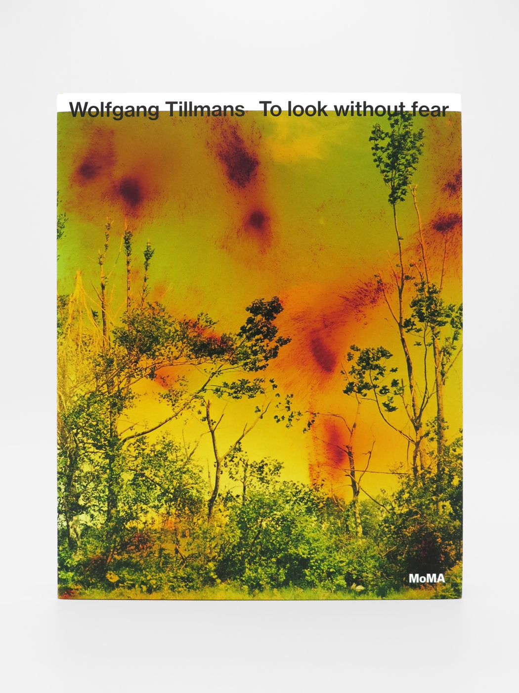 Wolfgang Tillmans, To look without fear