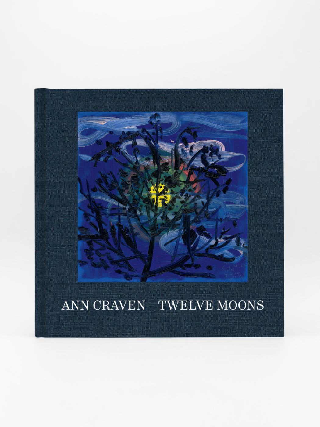 Ann Craven, Twelve Moons