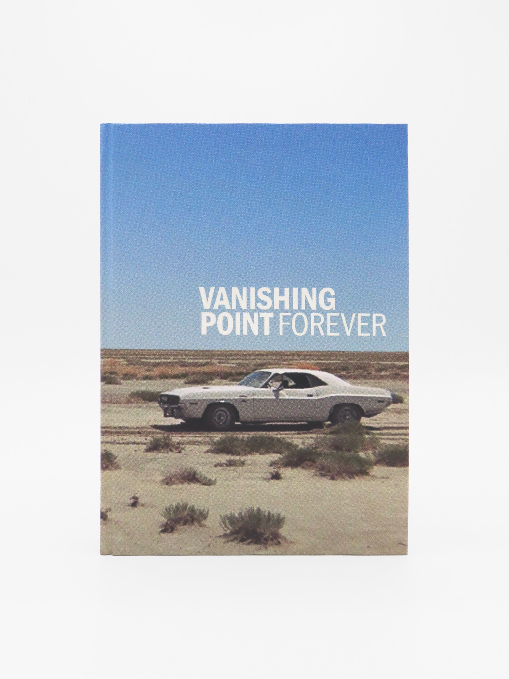 Robert M. Rubin, Vanishing Point Forever