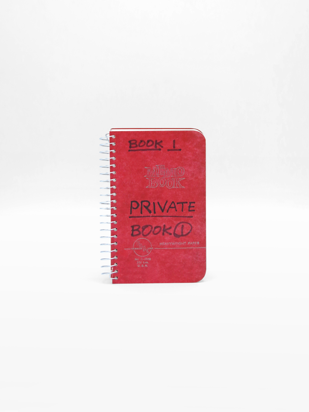 Lee Lozano, Private Book I