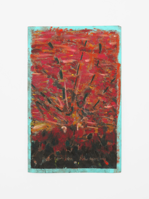 Jacob Littlejohn, Fata Morgana Special Edition