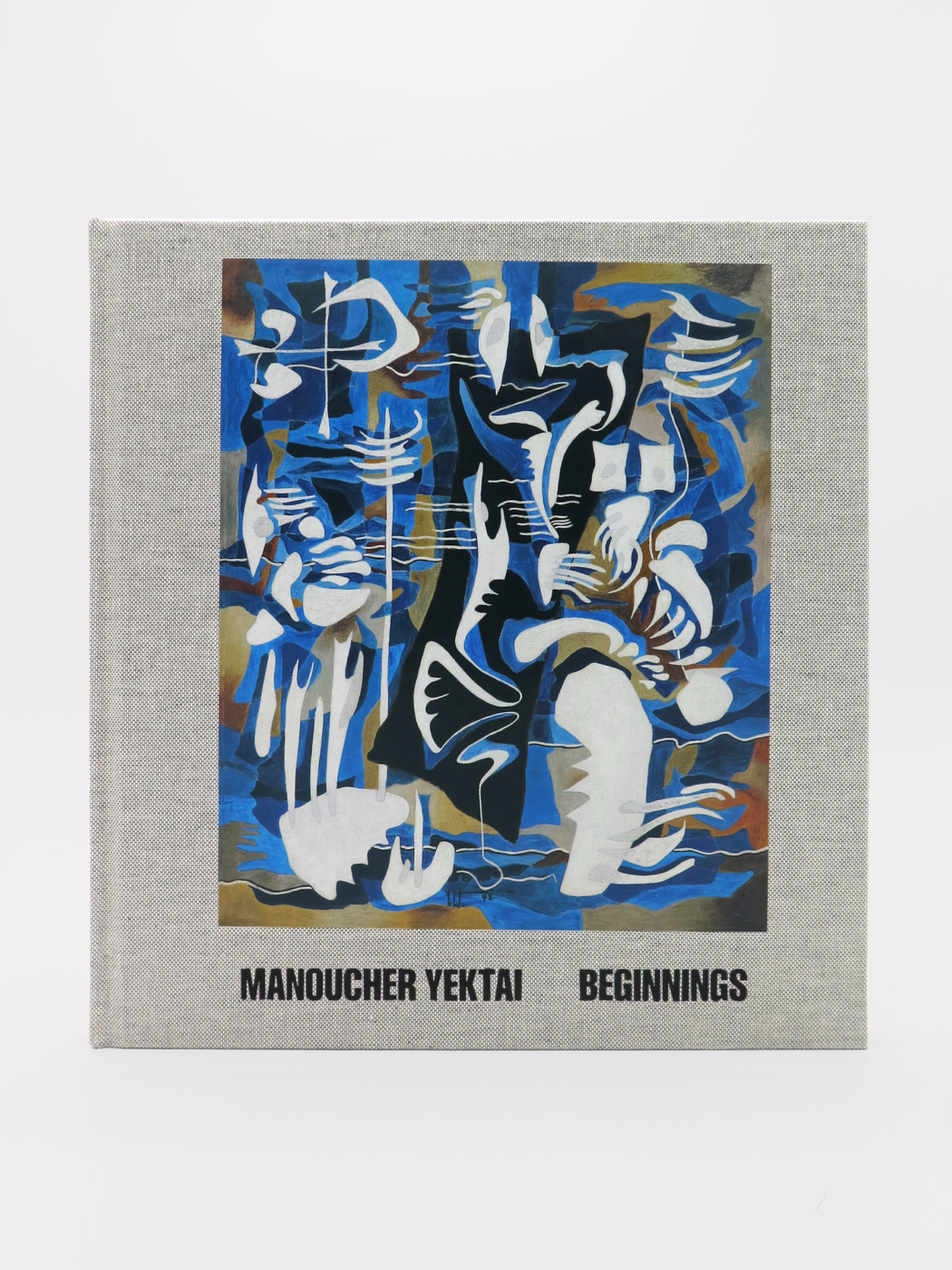 Manoucher Yektai, Beginnings