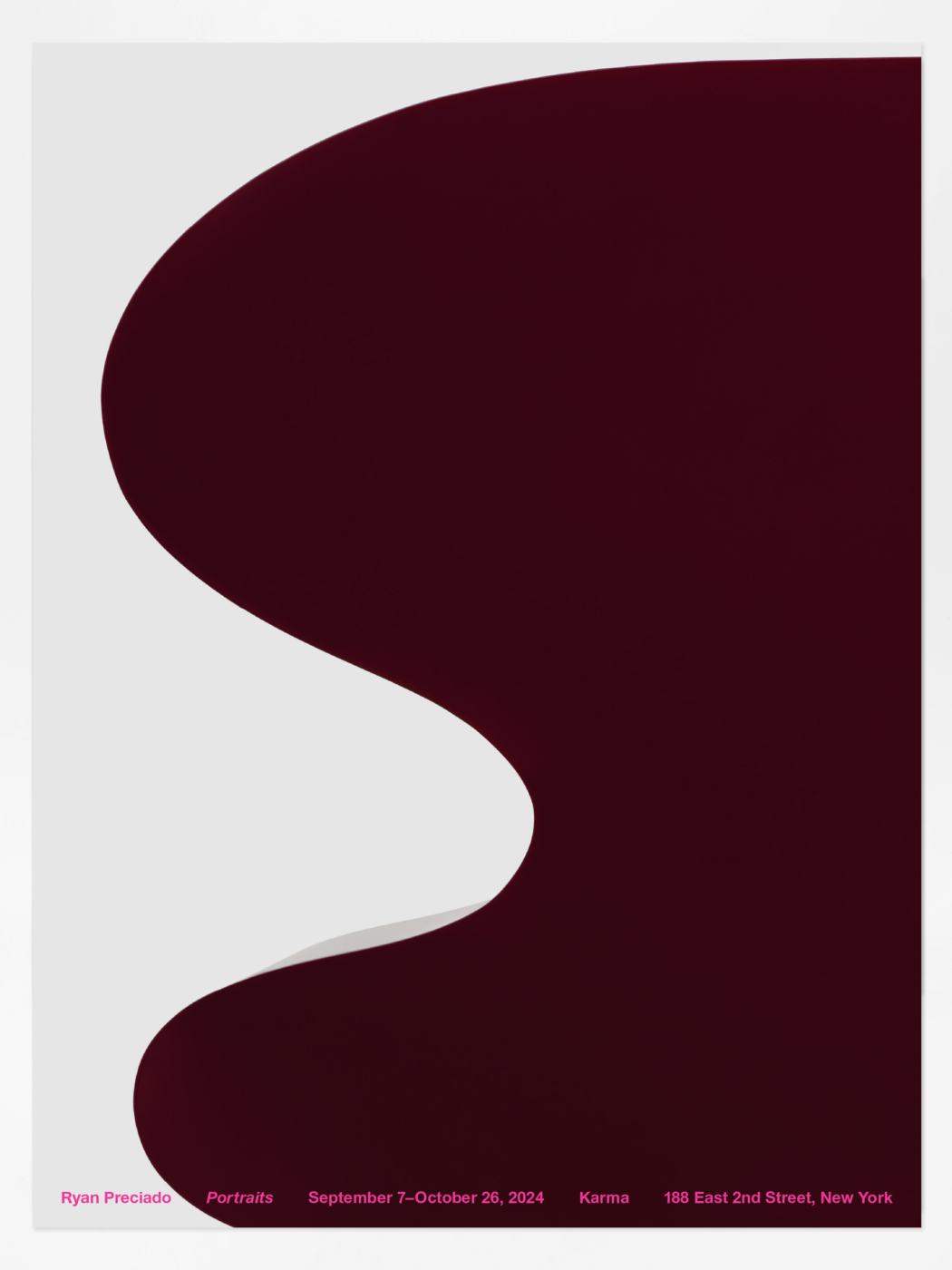 Ryan Preciado, Portraits Poster