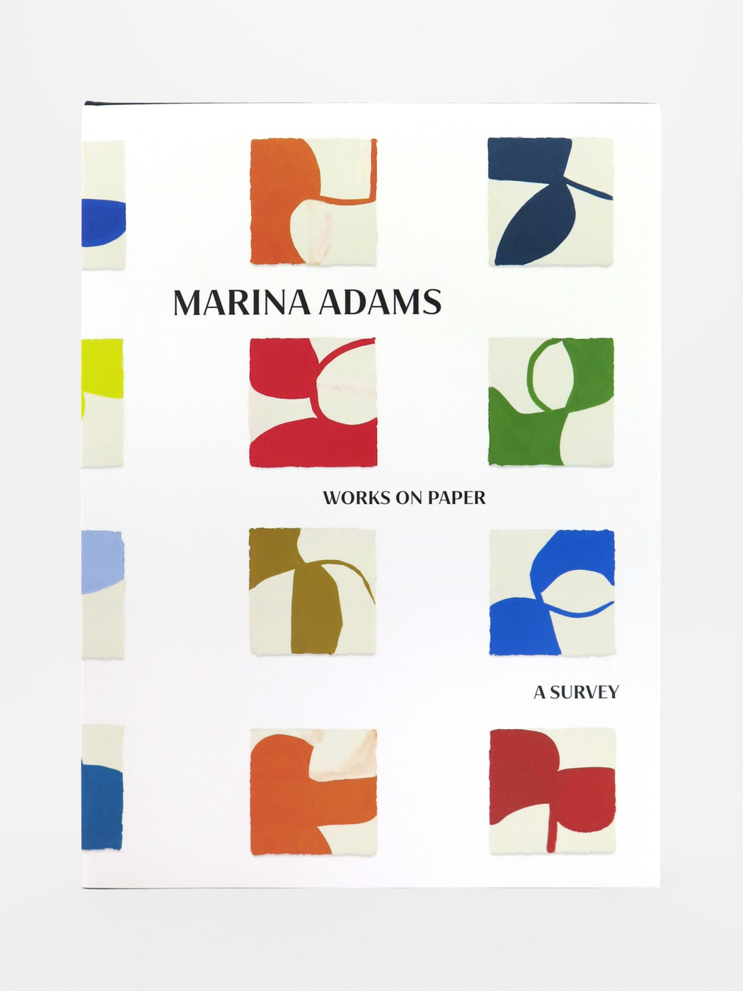 Marina Adams, Works on Paper: A Survey