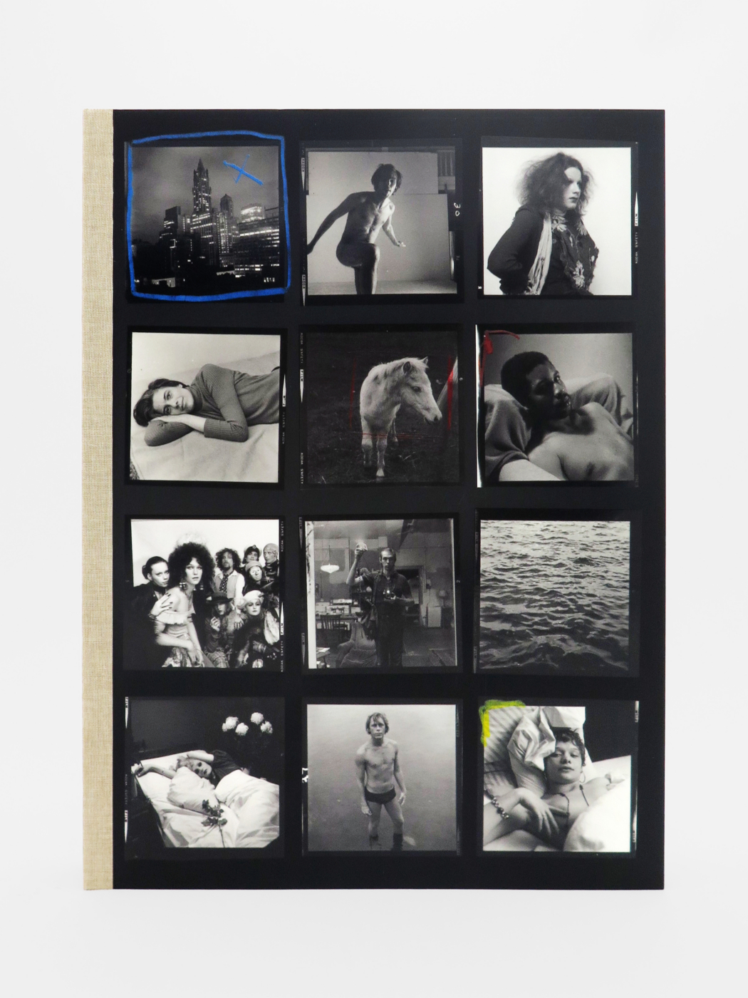 Hujar:Contact